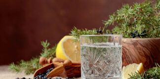 Gin