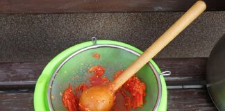 jak zrobić przecier pomidorowy