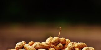 Jak zrobić swoje własne domowe Orzechy i Suszone Owoce i jak to zrobić w sposób bezpieczny i higieniczny