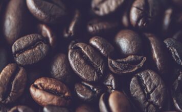 Dlaczego Arabica?