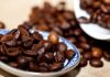 Jaka jest różnica między Kawa Arabica i Robusta? Jaka jest różnica między Kawa Arabica i Robusta?