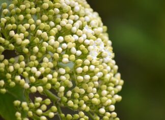 Ile pieniędzy ma Musk? Ile pieniędzy ma Musk?