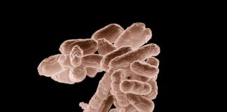 Jak zawiązać ubranko po sterylizacji?