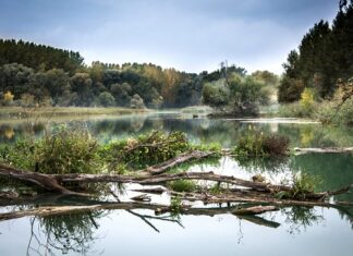 Co to jest Luga? Co to jest Luga?