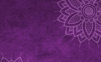 Czy można dostać mandat za psa w samochodzie?