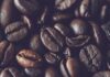 Czy Arabica jest kwaśna?