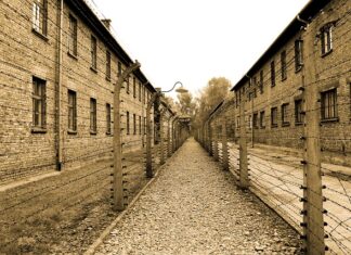 Ile kosztuje wejście do Auschwitz? Ile kosztuje wejście do Auschwitz?