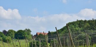 Kiedy wynaleziono Sztangę?