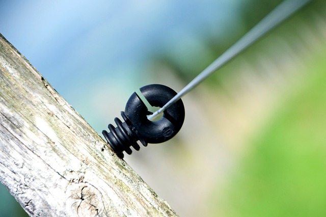 Ile Polaków mieszka w UK? Ile Polaków mieszka w UK?