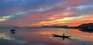 O której godzinie najlepiej łowić ryby?