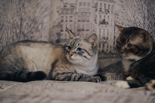 Gdzie iść na randkę jak pada deszcz? Gdzie iść na randkę jak pada deszcz?