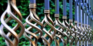 Jak nęcić płocie?