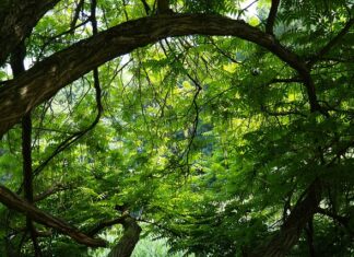 Dlaczego nakrętki a nie butelki? Dlaczego nakrętki a nie butelki?