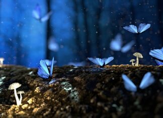 Czym wypełnić duże ubytki w drewnie? Czym wypełnić duże ubytki w drewnie?