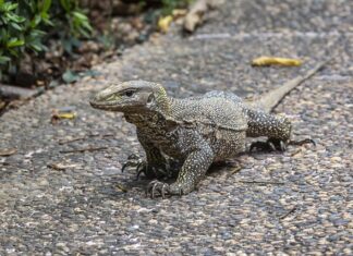 Czy lekarz rodzinny może dać skierowanie na ortezę? Czy lekarz rodzinny może dać skierowanie na ortezę?