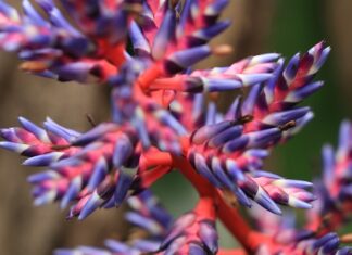 Co na szybszy zrost kości? Co na szybszy zrost kości?