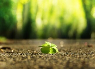 Jak zrobić własny krem? Jak zrobić własny krem?