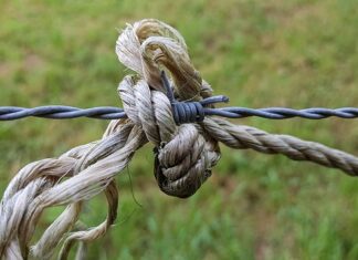 Co na odstraszanie owadów? Co na odstraszanie owadów?