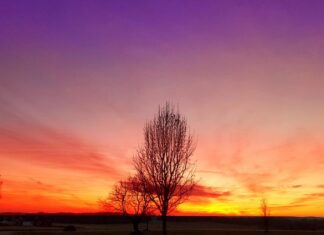 Na co zwrócić uwagę przy kupnie śpiwora? Na co zwrócić uwagę przy kupnie śpiwora?