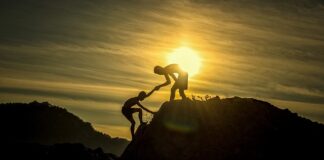 Gdzie oddać jedzenie po świętach Poznań?