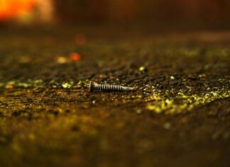 Czy Wkręt to śruba? Czy Wkręt to śruba?