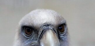 Ile ma gryf do hantli?