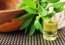 Czy można stosować olejek oregano w trakcie karmienia piersią? Czy można stosować olejek oregano w trakcie karmienia piersią