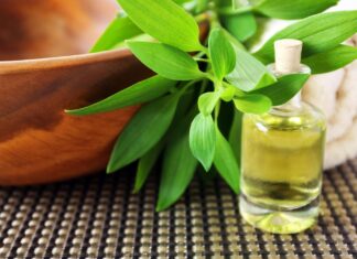 Czy można stosować olejek oregano w trakcie karmienia piersią? Czy można stosować olejek oregano w trakcie karmienia piersią