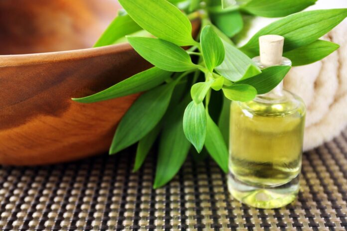 34974 Czy można stosować olejek oregano w trakcie karmienia piersią